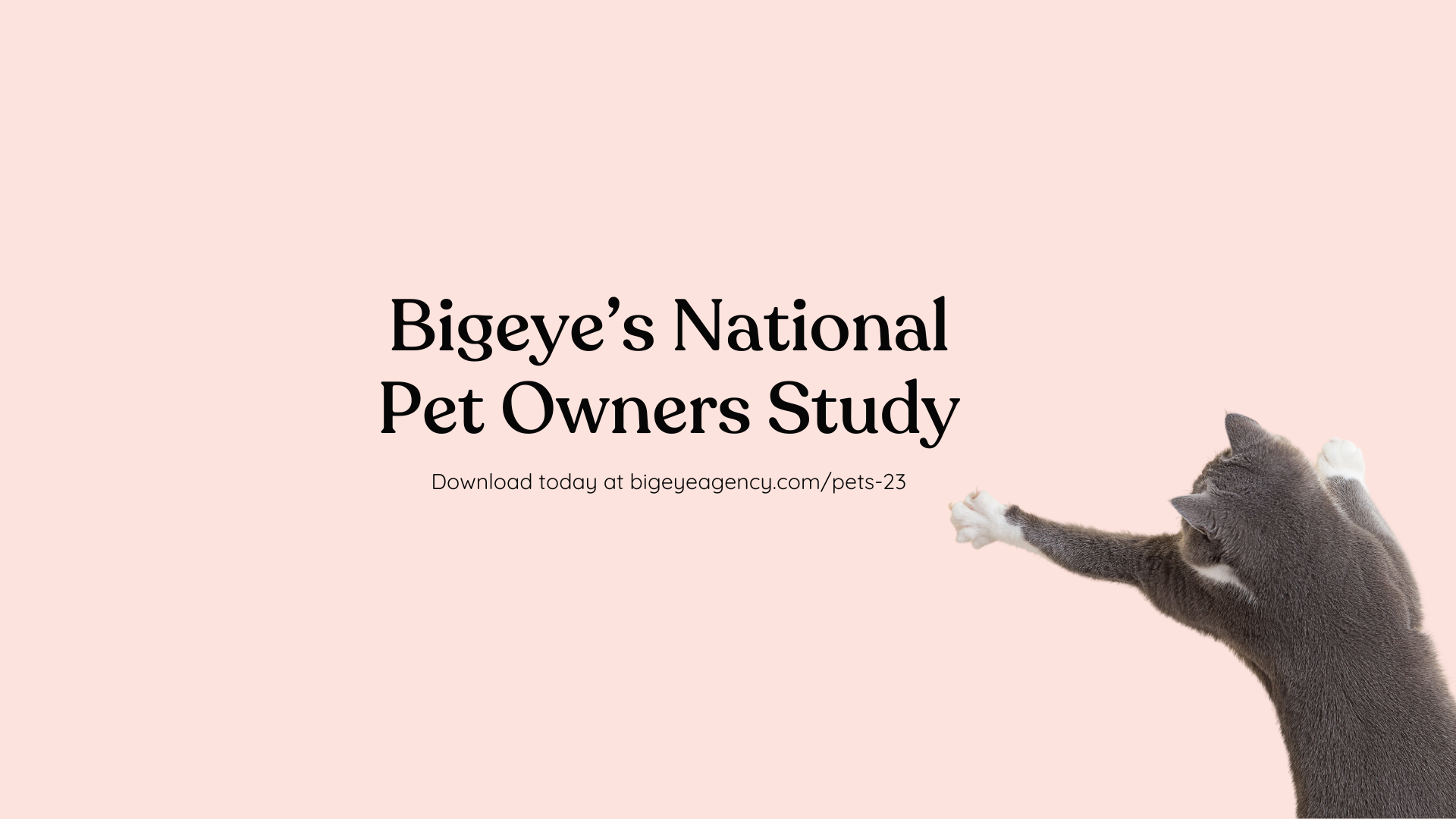 Bigeye pet study linked in LinkedIn Article Cover