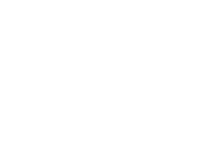 The Ritz Carlton